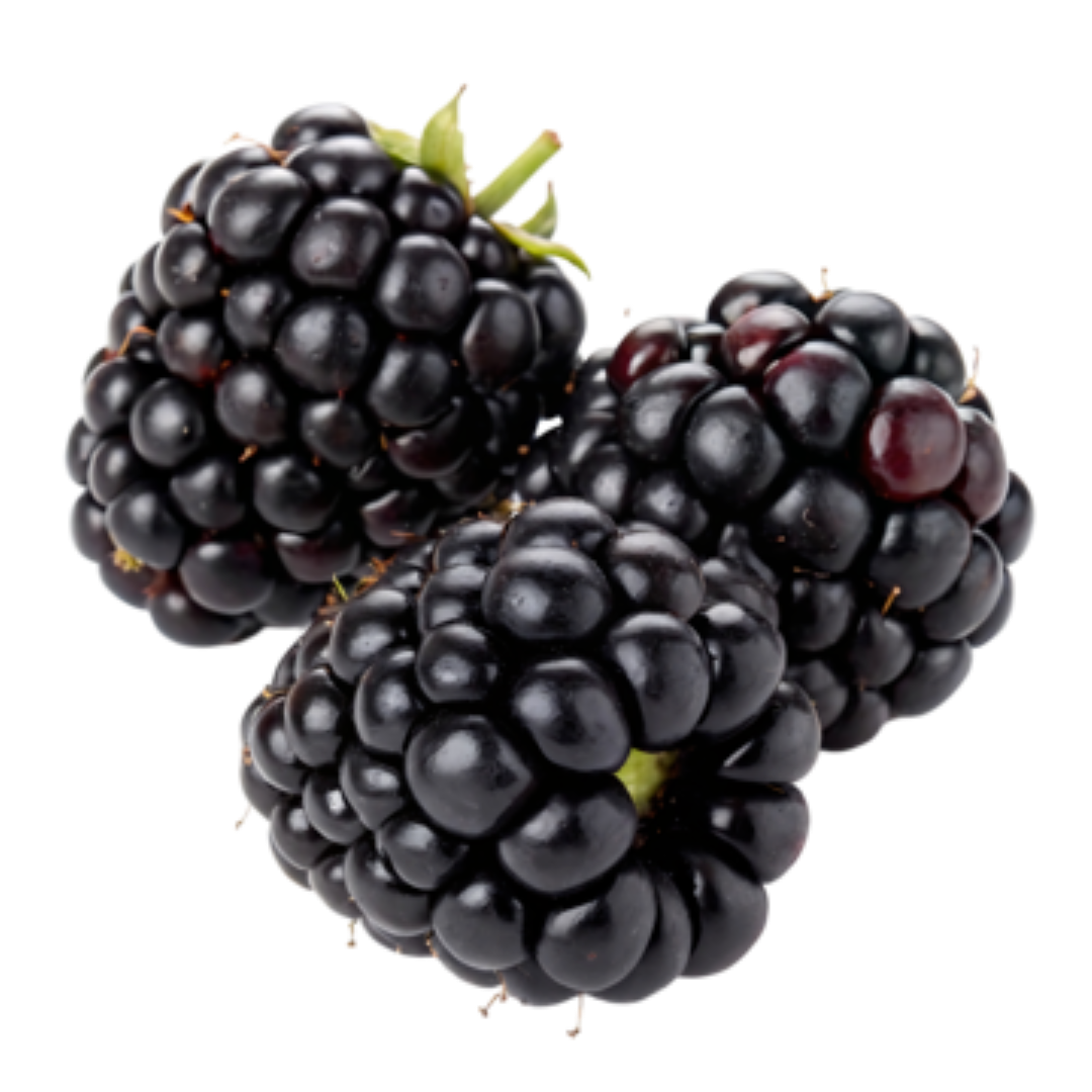 FRESHLY BLACK BERRIES 200G